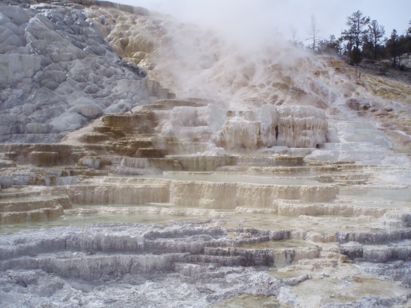 Mammoth hotsprings | Yellowstone National Park